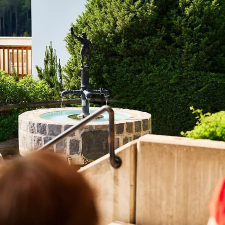 Schwarz Alm Hotel 4*